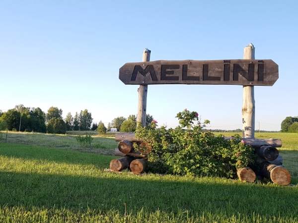 Mellini_6